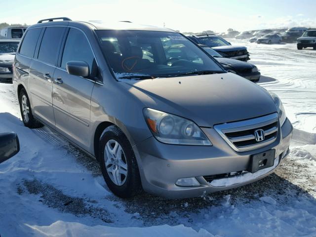 5FNRL38835B015983 - 2005 HONDA ODYSSEY TO GOLD photo 1