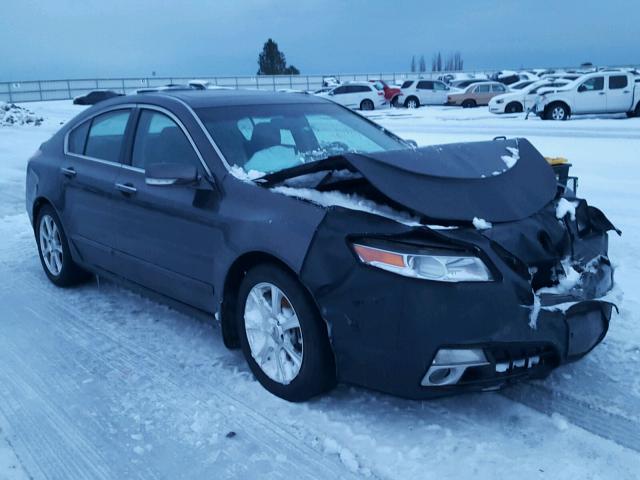 19UUA9F55AA000658 - 2010 ACURA TL GRAY photo 1