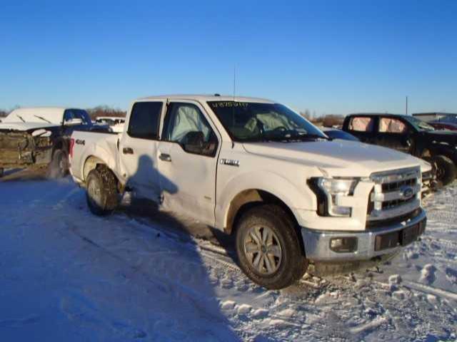 1FTEW1EP8HFA03690 - 2017 FORD F150 SUPER WHITE photo 1