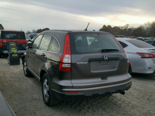 3CZRE3H36AG700685 - 2010 HONDA CR-V LX TAN photo 3