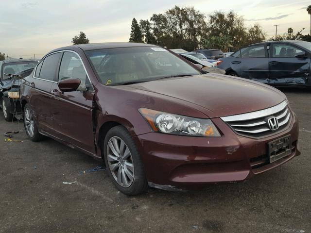 1HGCP2F81CA213167 - 2012 HONDA ACCORD EXL BURGUNDY photo 1