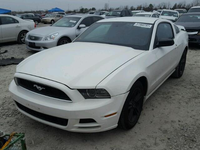 1ZVBP8AM2D5241942 - 2013 FORD MUSTANG WHITE photo 2