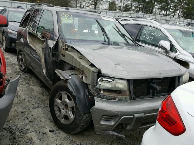 1GNDS13S152373131 - 2005 CHEVROLET TRAILBLAZE GRAY photo 1