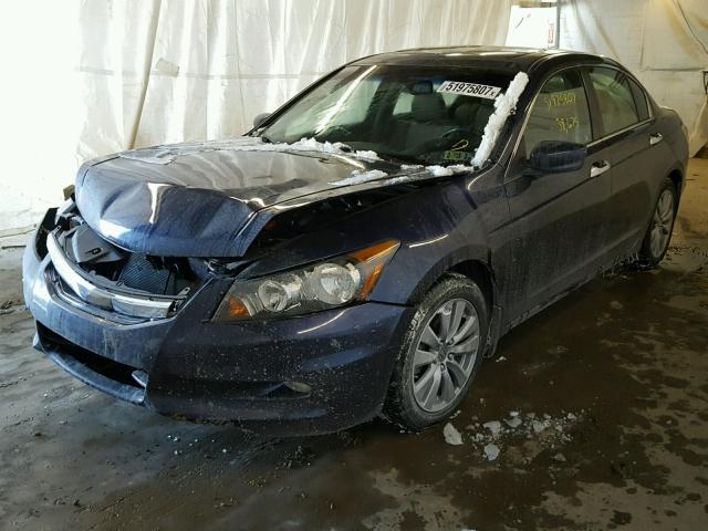 1HGCP3F80CA005884 - 2012 HONDA ACCORD EXL BLUE photo 2