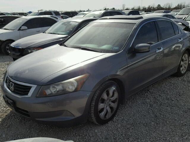 JHMCP26878C048878 - 2008 HONDA ACCORD EXL GRAY photo 2