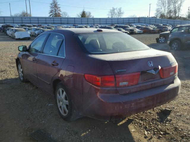 1HGCM66565A000336 - 2005 HONDA ACCORD EX MAROON photo 3