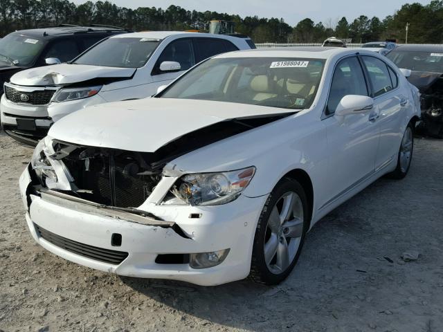 JTHBL5EF2B5103144 - 2011 LEXUS LS 460 WHITE photo 2