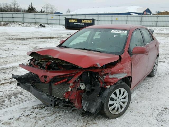 2T1BU4EE3DC997919 - 2013 TOYOTA COROLLA BA RED photo 2