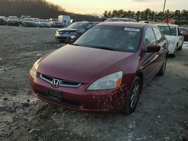 1HGCM66873A069818 - 2003 HONDA ACCORD EX RED photo 2