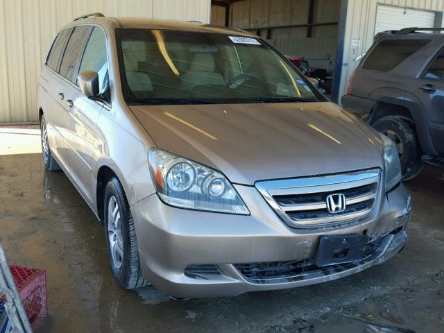 5FNRL38466B050547 - 2006 HONDA ODYSSEY EX GOLD photo 1