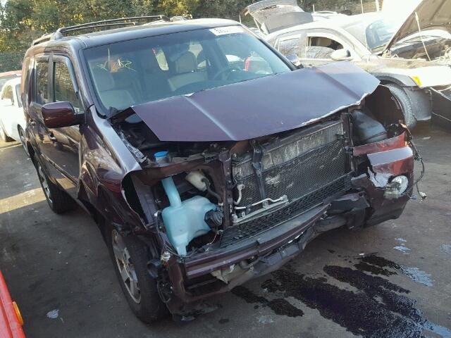 5FNYF3H43BB012867 - 2011 HONDA PILOT EX BURGUNDY photo 1