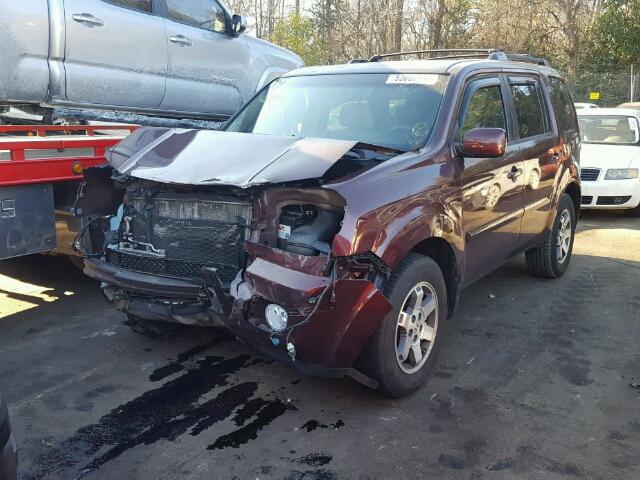 5FNYF3H43BB012867 - 2011 HONDA PILOT EX BURGUNDY photo 2