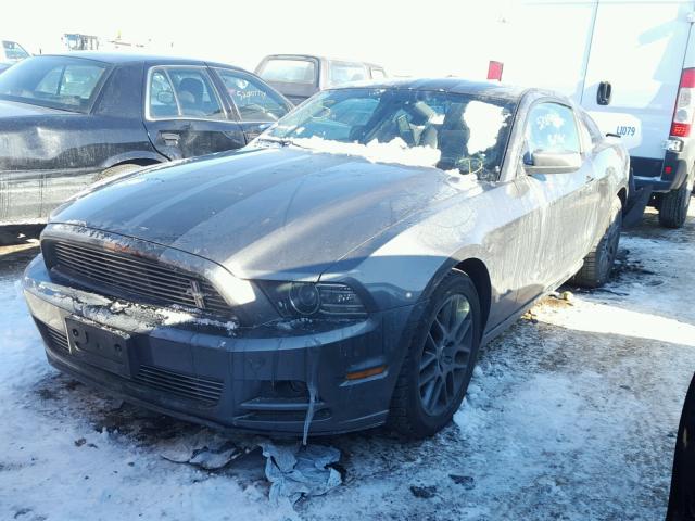 1ZVBP8AM0D5213069 - 2013 FORD MUSTANG GRAY photo 2