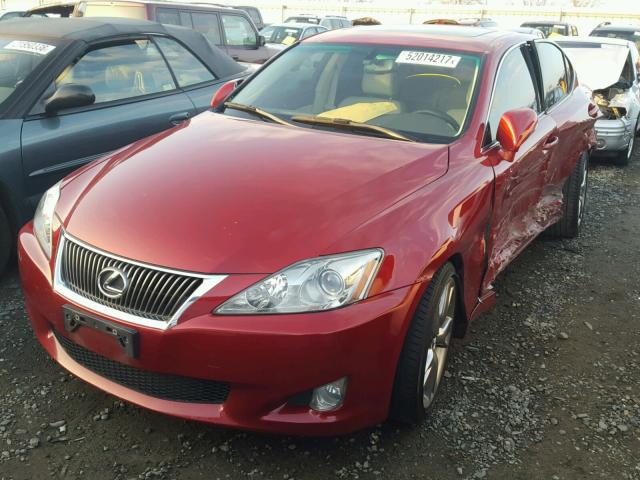 JTHBK262895105102 - 2009 LEXUS IS 250 RED photo 2