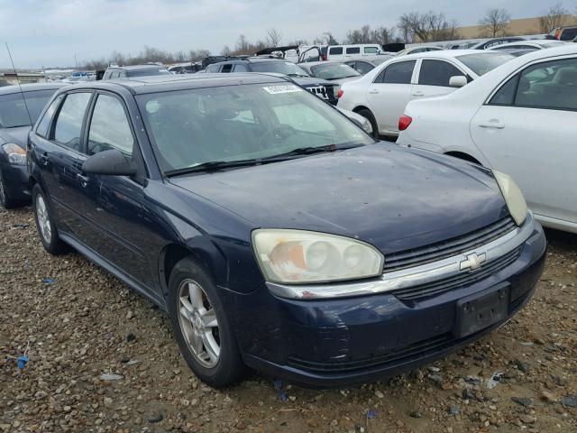 1G1ZT64855F258593 - 2005 CHEVROLET MALIBU MAX BLUE photo 1