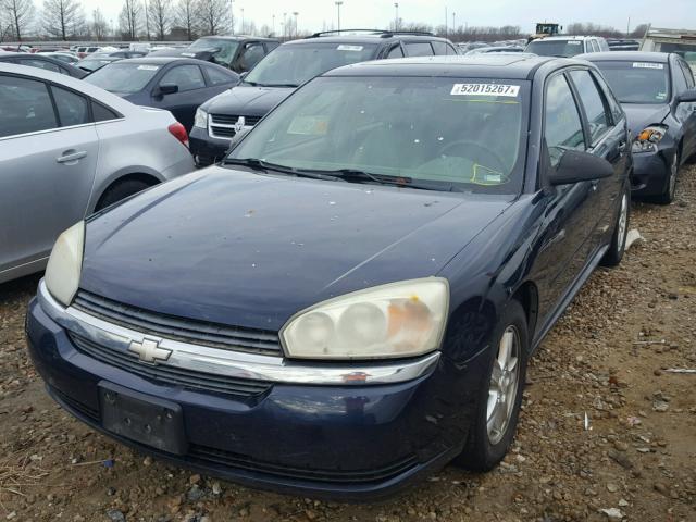 1G1ZT64855F258593 - 2005 CHEVROLET MALIBU MAX ლურჯი ფოტო 2