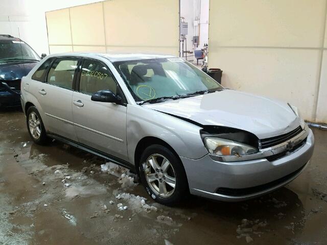 1G1ZT64894F154154 - 2004 CHEVROLET MALIBU MAX ვერცხლისფერი ფოტო 1