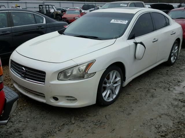 1N4AA51E19C822221 - 2009 NISSAN MAXIMA S WHITE photo 2