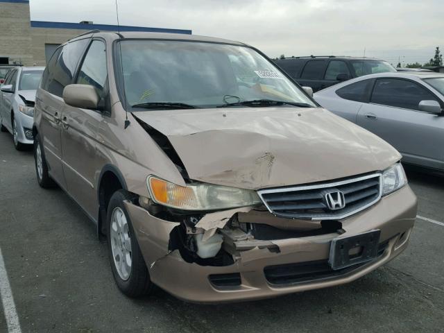 5FNRL18623B119591 - 2003 HONDA ODYSSEY EX GOLD photo 1