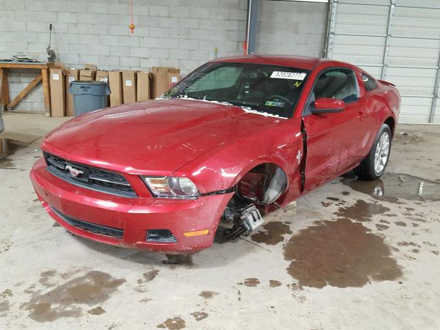1ZVBP8AN3A5101628 - 2010 FORD MUSTANG RED photo 2