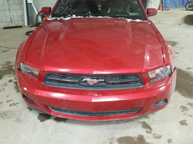 1ZVBP8AN3A5101628 - 2010 FORD MUSTANG RED photo 7