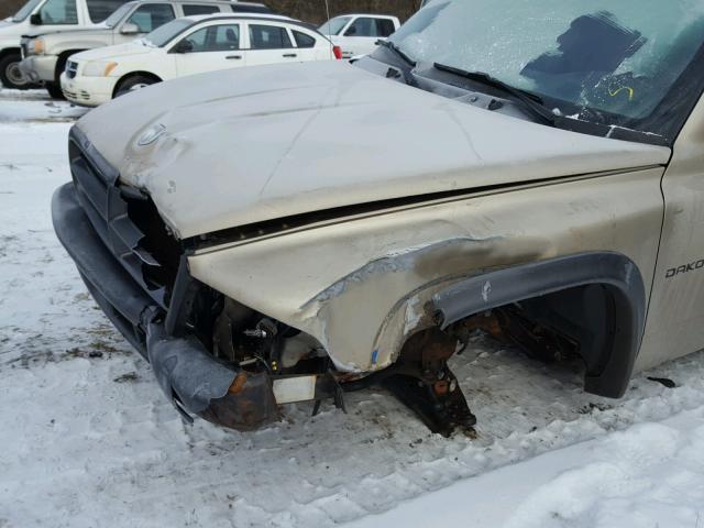 1B7FL16X82S664257 - 2002 DODGE DAKOTA BAS GOLD photo 9