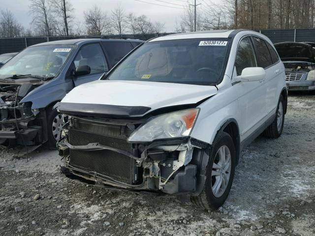 5J6RE4H76AL097264 - 2010 HONDA CR-V EXL WHITE photo 2