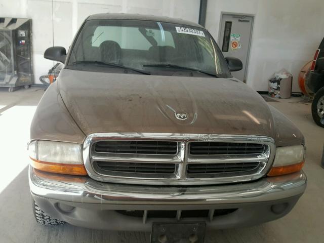 1B7GL2AN7YS718995 - 2000 DODGE DAKOTA QUA BROWN photo 9