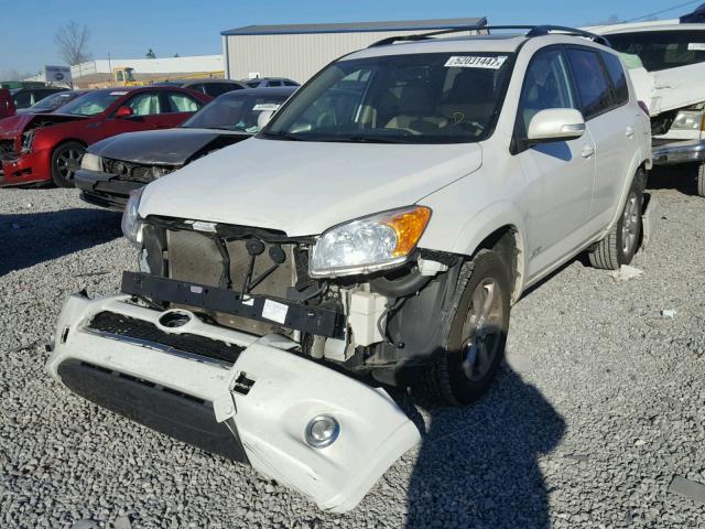 2T3YF4DV1BW098419 - 2011 TOYOTA RAV4 LIMIT WHITE photo 2