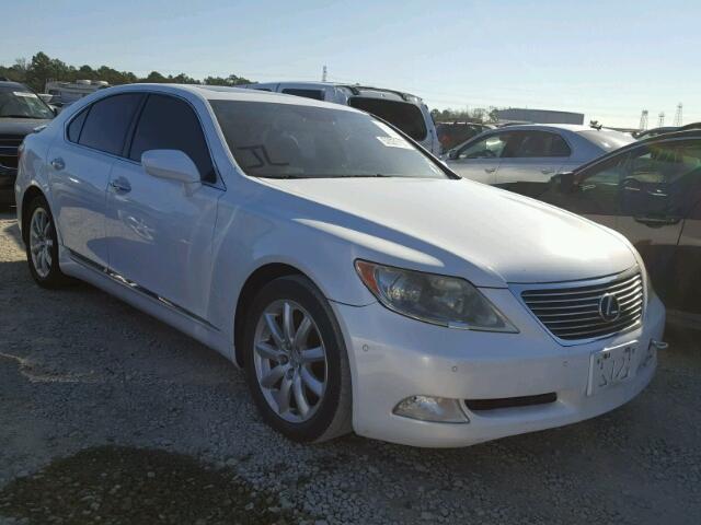 JTHBL46F685076452 - 2008 LEXUS LS 460 WHITE photo 1