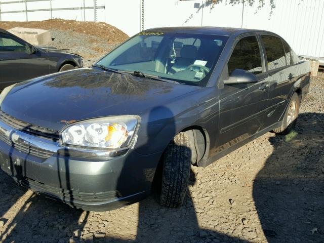 1G1ZT54894F151751 - 2004 CHEVROLET MALIBU LS GRAY photo 2