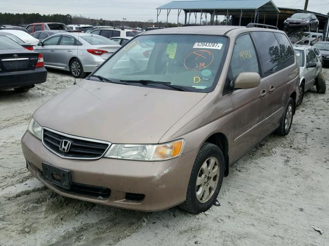 5FNRL18903B112908 - 2003 HONDA ODYSSEY EX GOLD photo 2