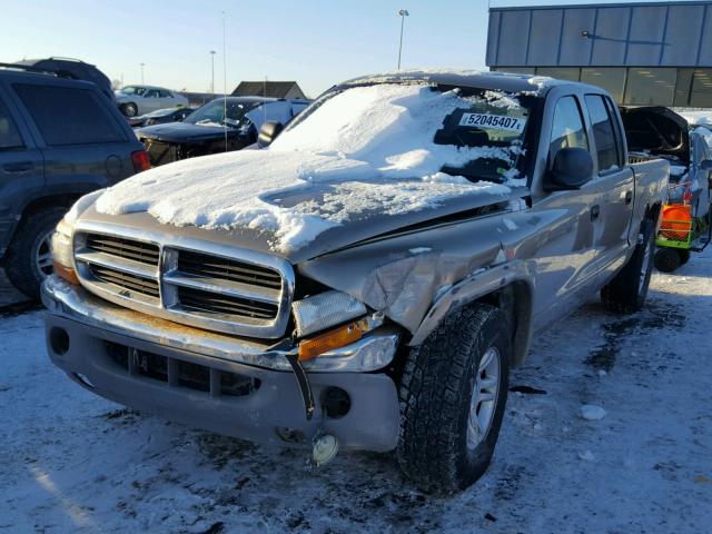 1D7HG48N43S223811 - 2003 DODGE DAKOTA QUA TAN photo 2