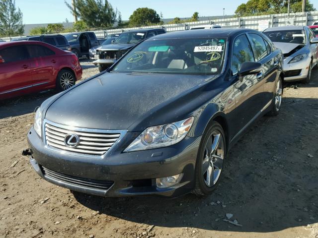 JTHBL5EF6A5098707 - 2010 LEXUS LS 460 BLACK photo 2