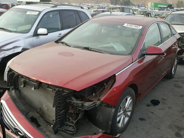 5NPE24AF3GH272100 - 2016 HYUNDAI SONATA SE RED photo 2