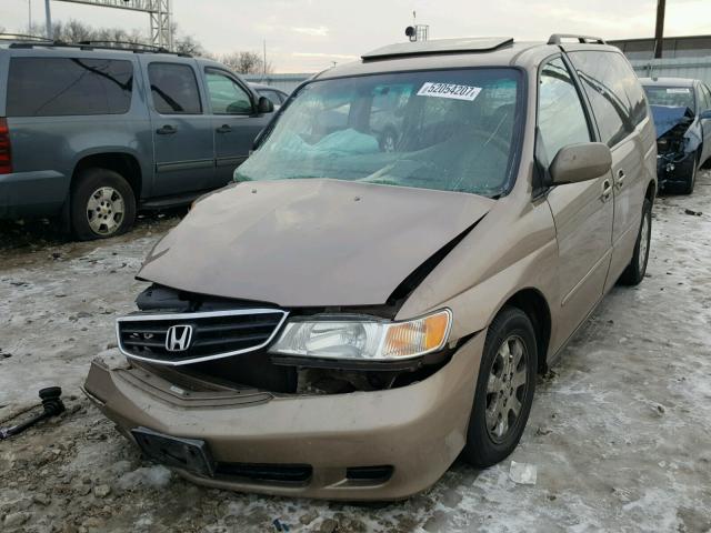 5FNRL189X3B067220 - 2003 HONDA ODYSSEY EX GOLD photo 2