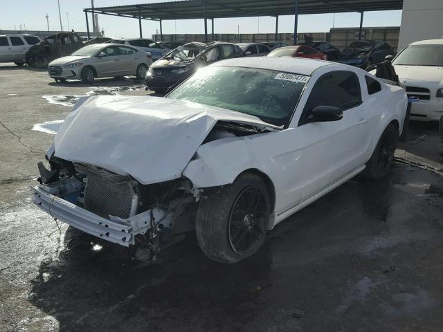 1ZVBP8AM6E5274833 - 2014 FORD MUSTANG WHITE photo 2