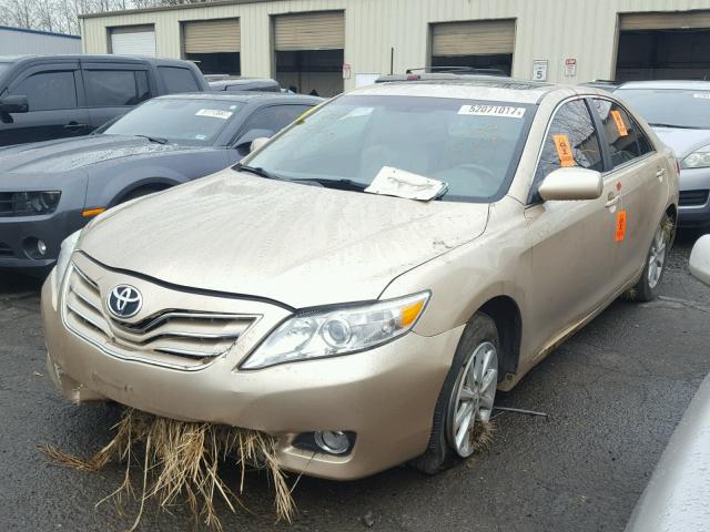 4T1BK3EK1BU613346 - 2011 TOYOTA CAMRY SE GOLD photo 2