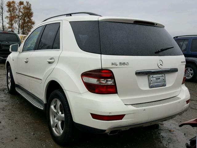 4JGBB2FB4BA689878 - 2011 MERCEDES-BENZ ML 350 BLU WHITE photo 3