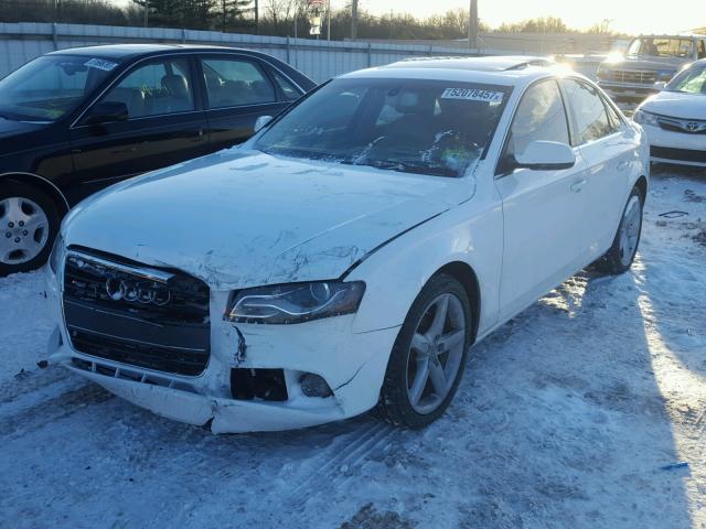 WAUFFAFL0BN020493 - 2011 AUDI A4 PREMIUM WHITE photo 2