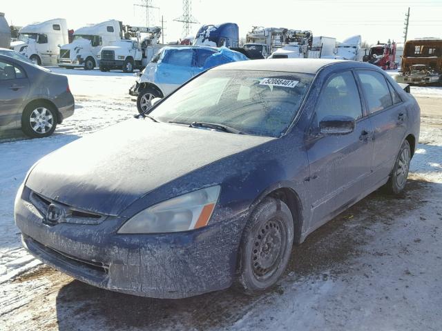 1HGCM56185A156823 - 2005 HONDA ACCORD DX BLUE photo 2