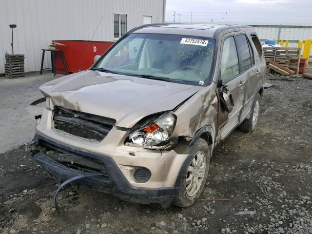 JHLRD78976C034440 - 2006 HONDA CR-V SE GOLD photo 2