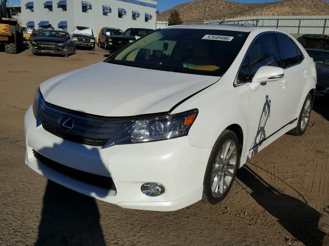 JTHBB1BA1A2016890 - 2010 LEXUS HS 250H WHITE photo 2