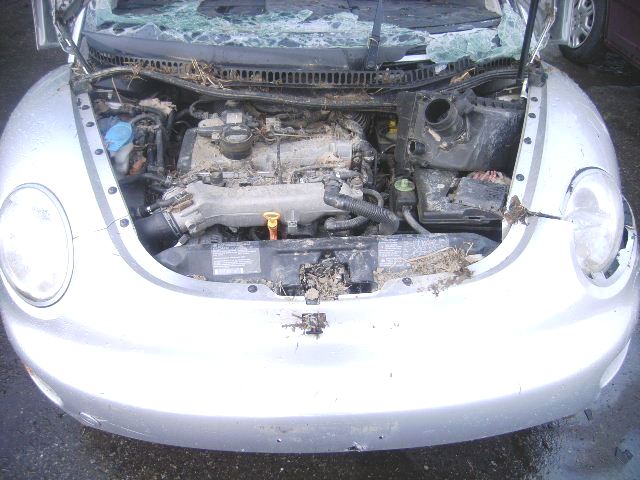 3VWDC21C71M414370 - 2001 VOLKSWAGEN NEW BEETLE Gümüş foto 8