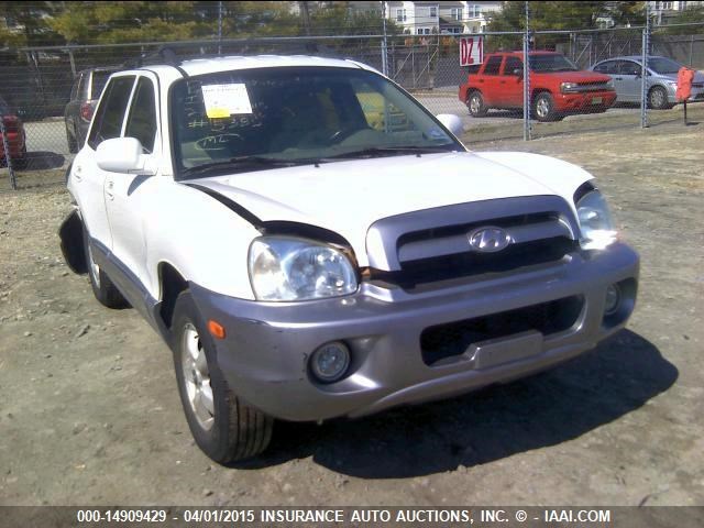 KM8SC13E65U896653 - 2005 HYUNDAI SANTA FE GLS/LX WHITE photo 1