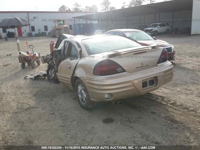 1G2NF52E22M501322 - 2002 PONTIAC GRAND AM SE1 GOLD photo 3