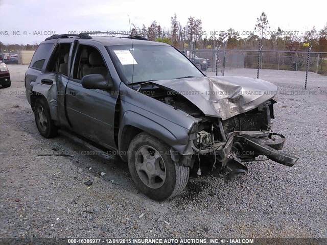 1GNDS13S972213534 - 2007 CHEVROLET TRAILBLAZER LS/LT GRAY photo 6