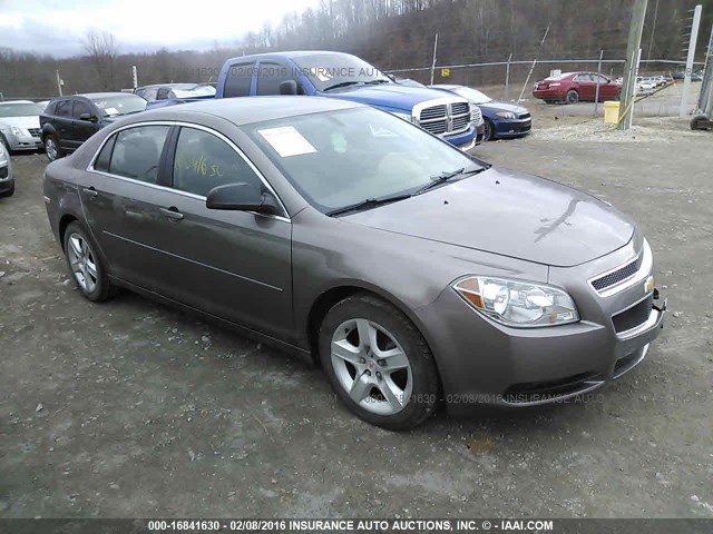 1G1ZB5E01CF318663 - 2012 CHEVROLET MALIBU LS 棕色 照片 1