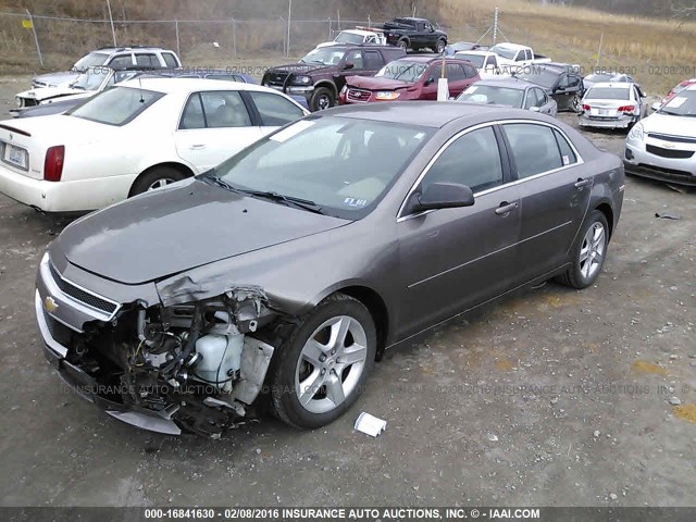 1G1ZB5E01CF318663 - 2012 CHEVROLET MALIBU LS 棕色 照片 2