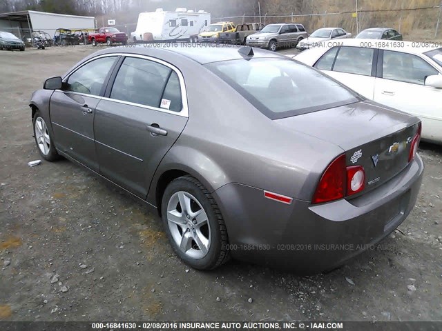 1G1ZB5E01CF318663 - 2012 CHEVROLET MALIBU LS 棕色 照片 3